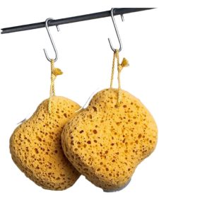 Wet KONJAC Sponge