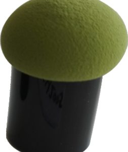Sponge Makeup brush