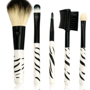 Makeup brush set