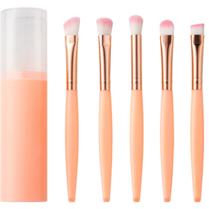 5pcs Makeup brush set